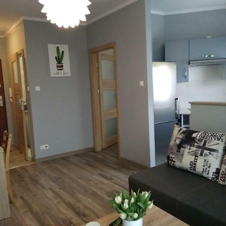 Apartament Edelmana Daire Gorzow Wielkopolski Dış mekan fotoğraf
